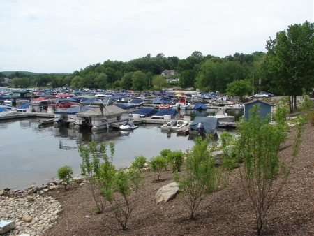 Echo Bay Marina Docks